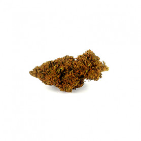 Fleur de CBD Harlequin Notre fleur de CBD harlequin indoor est une fleur connue pour son effet de 