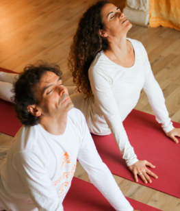 Nous dispensons des cours de Yoga Intégral Shri Vivek dans différents lieux, tous situés à Toulouse et ses alentours.