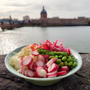 Poke bowl toulouse Poketeria