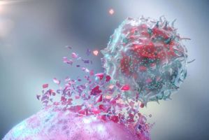Anti-cancer immunity and immunotherapies
