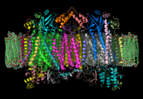 physicians microbiology parasitology toulouse Ipbs-Toulouse