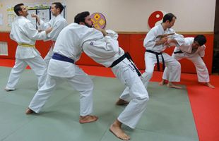 Ju-Jutsu - Centre Culturel des Minimes