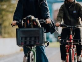 Vélo électrique et environnement: Le VAE est-il vertueux?