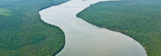Croisière Brésil : Sur l'Amazone