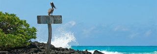 Croisière Equateur : A bord du Galapagos Legend 5*