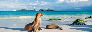 Croisière Equateur : A bord de l'Isabela II