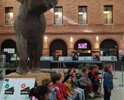 Une sortie au muséum d’histoires naturelles