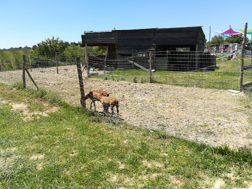 Fermes avec enfants Toulouse