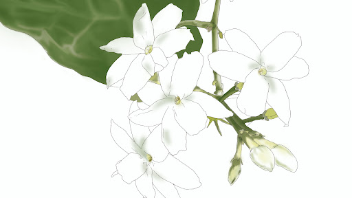 Lieux de shiatsu en Toulouse
