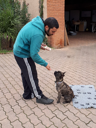 Educateur Canin Toulouse