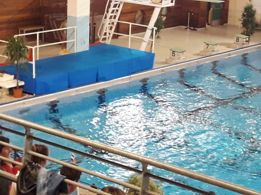 Piscines privées Toulouse