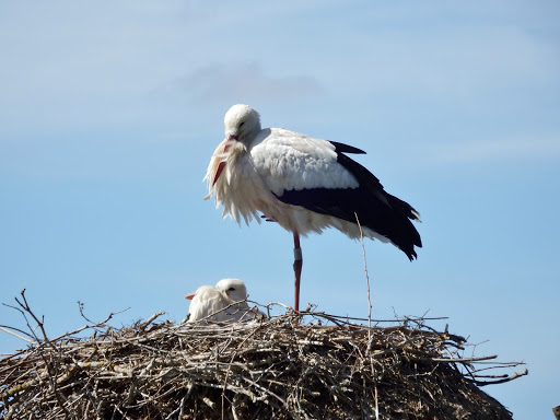 Le Domaine des Oiseaux