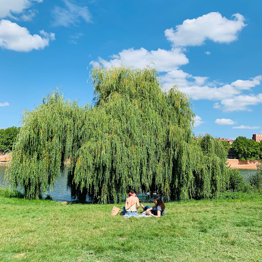 Parcs libres Toulouse