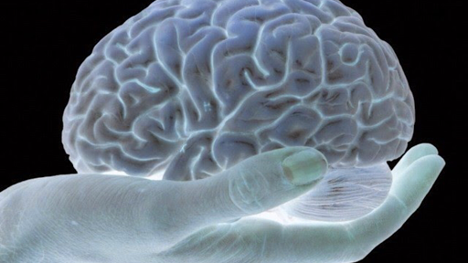 Médecins en neurologie Toulouse